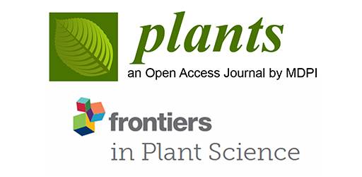 Objavljen rad u časopisu Plants i Frontiers in Plant Science