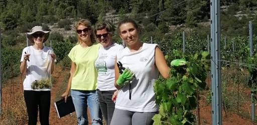 Okrugli stol: Žene u vinogradarsko – vinarskoj struci