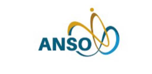 ANSO Visiting Fellowship 2022