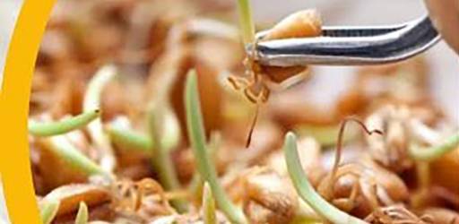 18. međunarodni kongres Oplemenjivanje bilja, sjemenarstvo i rasadničarstvo