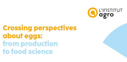 Poziv za prijave :: Erasmus+ BIP program -  Crossing perspectives about eggs: from production to food science