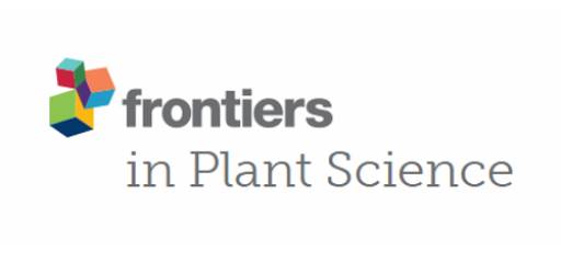 Objavljen rad u časopisu „Frontiers in Plant Science“