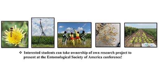 Mogućnost stručne prakse na University of Nebraska – Lincoln, Entomology laboratory u 2024. godini