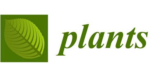 Objavljen rad u časopisu „Plants”