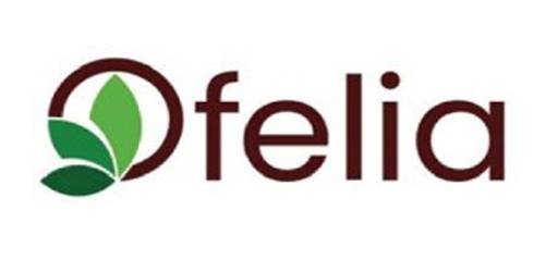 Horizon Europe :: Početak projekta OFELIA