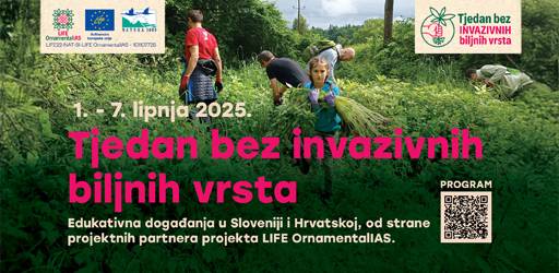 Tjedan bez invazivnih biljnih vrsta: Aktivnosti u sklopu LIFE OrnamentalIAS projekta