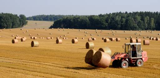 Agricultural Engineering