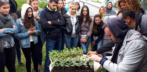 Novi diplomski sveučilišni studijski program „Mediteranska poljoprivreda“