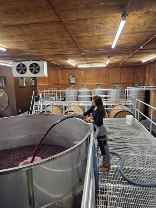 Studenti studija Hortikultura-Vinogradarstvo i vinarstvo na stručnoj praksi u Kaliforniji