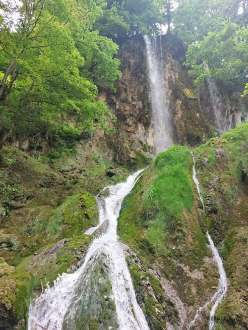 Izlet podružnice NSZVO Agronomski fakultet