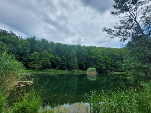 Izlet podružnice NSZVO Agronomski fakultet