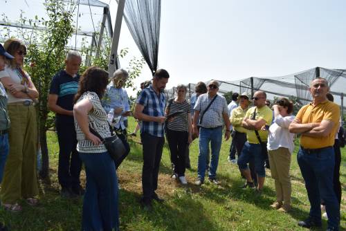 V. Balkan Symposium on Fruit Growing