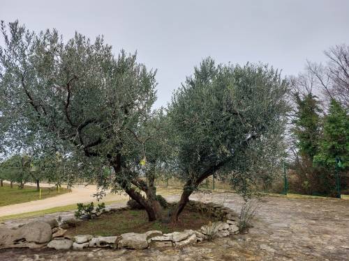 Farma Jola Agronomskom fakultetu donirala mini uljaru