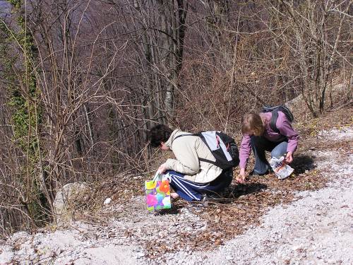 Studenti na terenskoj nastavi sakupljaju biljni materijal za ZAGR (2)