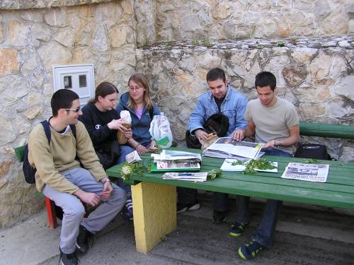 Studenti na terenskoj nastavi determiniraju biljni materijal za ZAGR