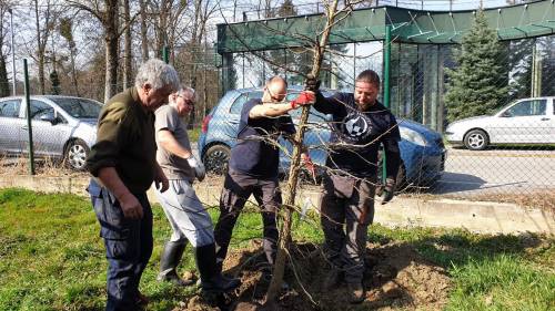 Agronomski fakultet pridružio se inicijativi Dani kolektivne sadnje drveća u Hrvatskoj u 2021.