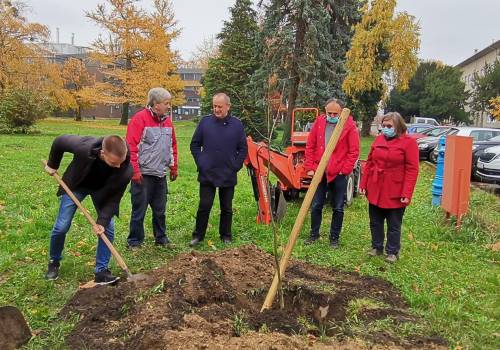 Agronomski fakultet sudjelovao u kampanji "Zasadi stablo, ne budi panj!"