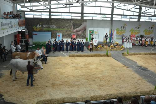 Natjecanje studenata na 29. Državnoj stočarskoj izložbi u Gudovcu