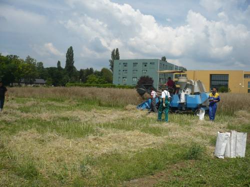 Department of Field Crops, Forage and Grassland