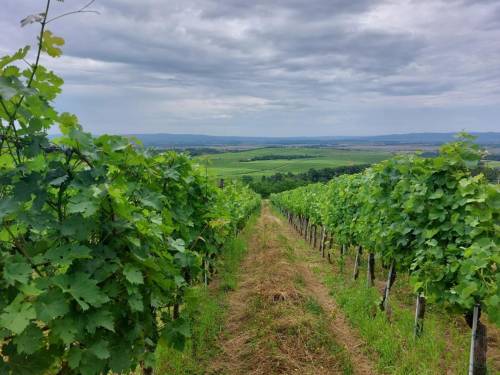 Izlet podružnice NSZVO Agronomski fakultet