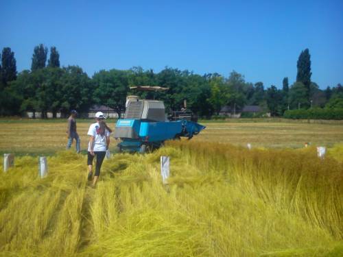 Department of Field Crops, Forage and Grassland