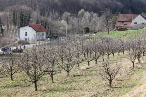 Pokušalište Jazbina - Voćarstvo