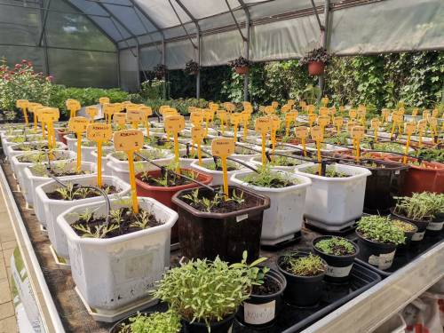 Održan Dan očaranosti biljkama na Agronomskom fakultetu 2021.