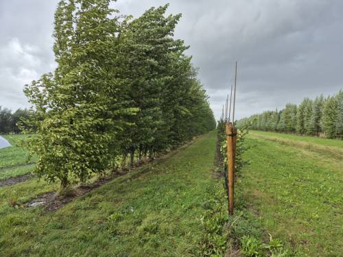 New EU Project to Accelerate Climate-Smart Farming Across Europe