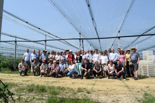 V. Balkan Symposium on Fruit Growing