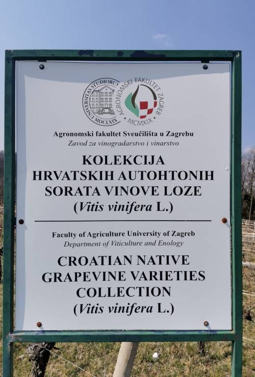 Cjeloživotno obrazovanje -"Grožđe i vino – od vinograda do stola"