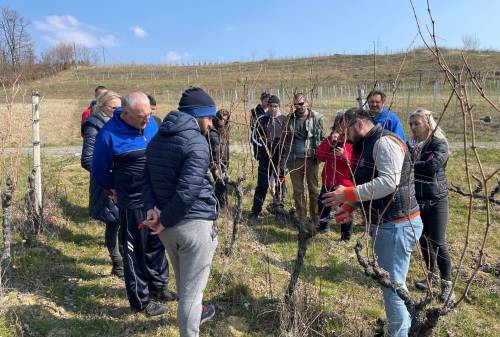 Cjeloživotno obrazovanje -"Grožđe i vino – od vinograda do stola"