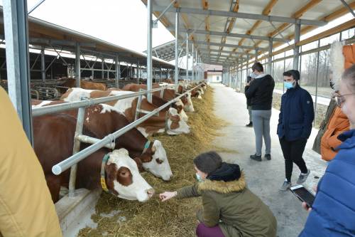 Prijediplomski studij Animalne znanosti