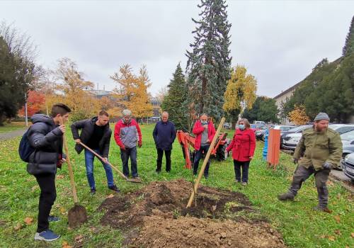 Agronomski fakultet sudjelovao u kampanji "Zasadi stablo, ne budi panj!"