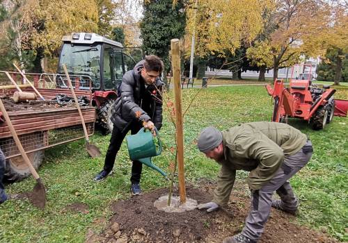 Agronomski fakultet sudjelovao u kampanji "Zasadi stablo, ne budi panj!"