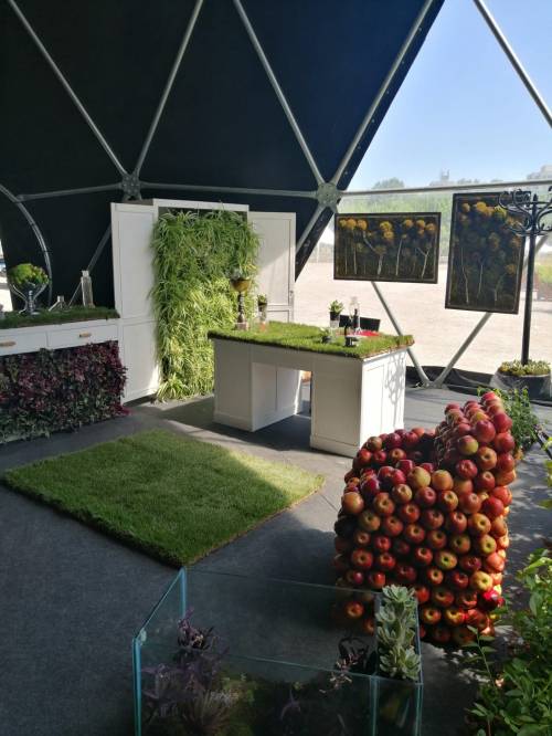 Agronomski fakultet osvojio prvu nagradu na međunarodnoj vrtnoj izložbi floraart 2022.