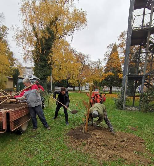 Agronomski fakultet sudjelovao u kampanji "Zasadi stablo, ne budi panj!"