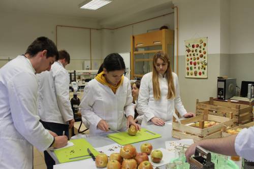 Laboratorij za fizikalno-kemijske analize voća