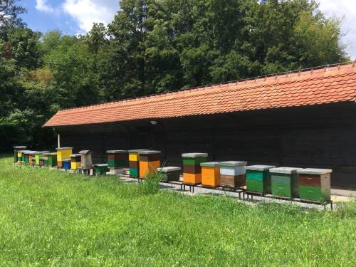 Cjeloživotno obrazovanje - „Suvremeno pčelarstvo"