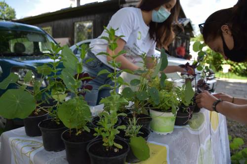 Održan Dan očaranosti biljkama na Agronomskom fakultetu 2021.