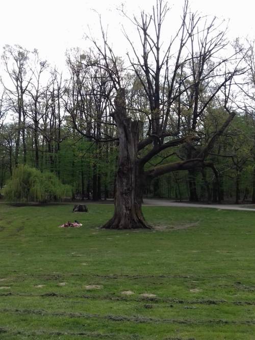 "Aktivna pauza - doživjeti 100-tu" u parku Maksimir :: 04. travnja 2019.