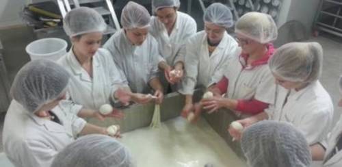 diplomski studij Proizvodnja i prerada mlijeka