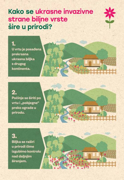 LIFE OrnamentalIAS prisutan online