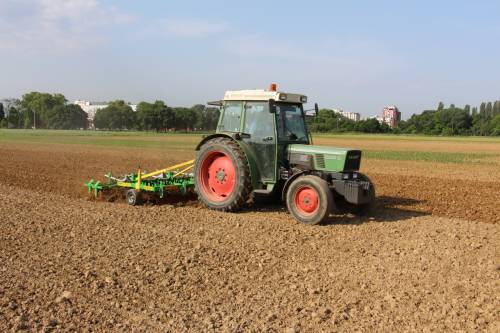 Department of Field Crops, Forage and Grassland