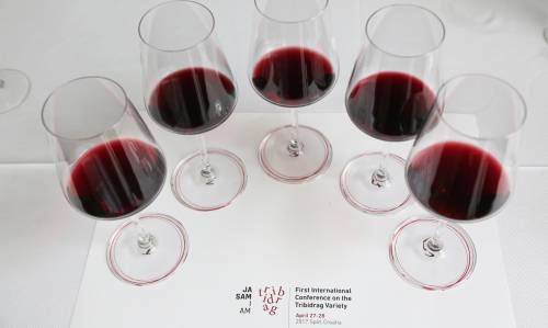 Program cjeloživotnog obrazovanja „Grožđe i vino – od vinograda do stola“