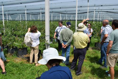 V. Balkan Symposium on Fruit Growing