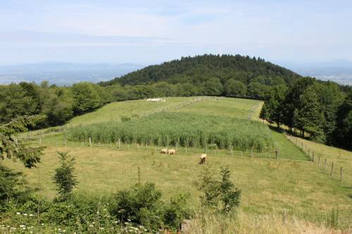 Pokušalište "Centar za travnjaštvo"