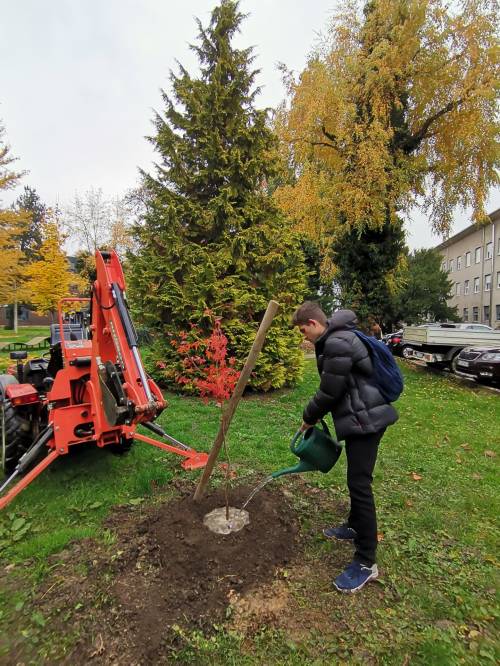 Agronomski fakultet sudjelovao u kampanji "Zasadi stablo, ne budi panj!"