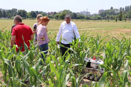 Završno predstavljanje IRI projekta „Razvoj autonomnog robotskog flotnog sustava za prepoznavanje i ekološko tretiranje korova – cRobot“.