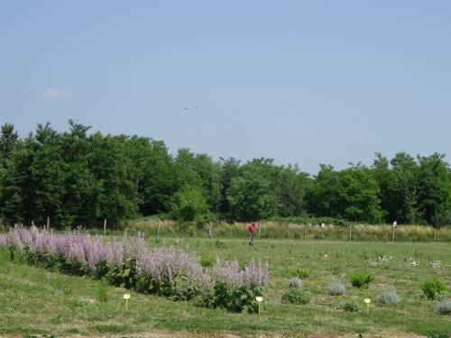 Department of Seed Science and Technology