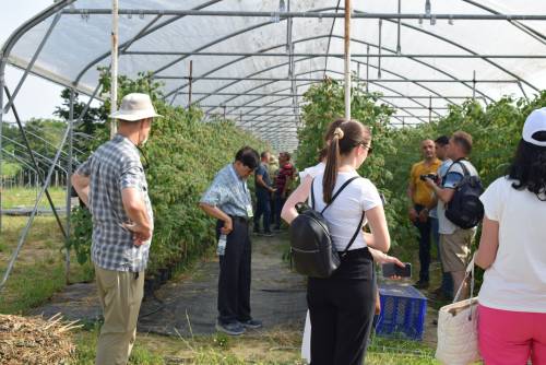 V. Balkan Symposium on Fruit Growing